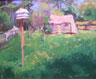 Bird House & Garden Shed