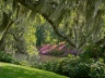 "Azalea Hill"