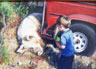 Rowan and the Sleeping Pig