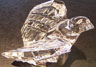 Steuben Eagle