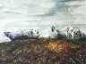 Study for "Wise Men"