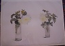 "White Dahlias in October"