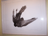 Black Crow on February 5
