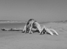 "From Here to Eternity"