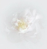 "Camellia"
