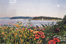 Garden by the Sea