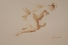 Nude Study Sepia Watercolor