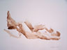 Sepia Watercolor 004