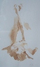 Nude Study Sepia Watercolor