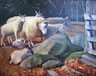 The Flock