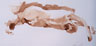 Sepia Watercolor 008