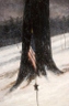 "Soldier's Flag"