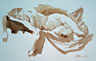 Sepia Watercolor 007