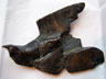 Bronze sculpture of a bird, Georges Braque?