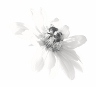 "Pollinator