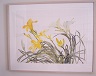 "Daylilies, August"