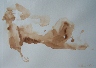 Nude Study Sepia Watercolor