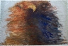 "Alchemical Raptor"