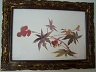 "Exotic Floral" one of two