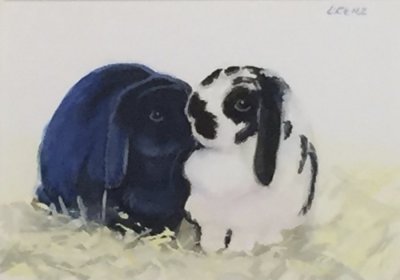Companions