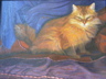 Cat and Mouse